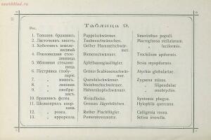 Краткое руководство к собиранию и определению бабочек 1908 год - 28-QeU3OHkidbk.jpg
