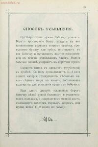 Краткое руководство к собиранию и определению бабочек 1908 год - 30-YSVZLZeZnPo.jpg