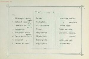 Краткое руководство к собиранию и определению бабочек 1908 год - 37-7JaaJWuh5M.jpg