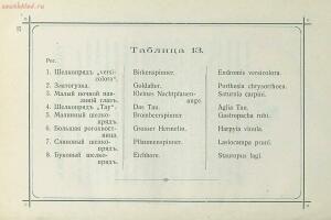 Краткое руководство к собиранию и определению бабочек 1908 год - 40-Ii8sbADCjik.jpg