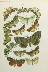Краткое руководство к собиранию и определению бабочек 1908 год - 45-iZTOqgWgZJY.jpg