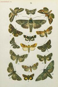 Краткое руководство к собиранию и определению бабочек 1908 год - 50-QNHY2c0Z5SQ.jpg