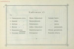 Краткое руководство к собиранию и определению бабочек 1908 год - 52-3lWCD62NnN8.jpg