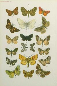 Краткое руководство к собиранию и определению бабочек 1908 год - 57-02co0ru_Qvc.jpg