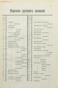 Краткое руководство к собиранию и определению бабочек 1908 год - 72-OqHm09LE4bA.jpg