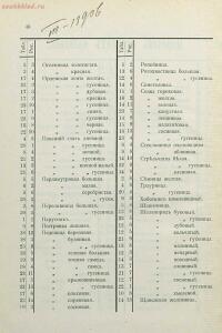 Краткое руководство к собиранию и определению бабочек 1908 год - 73-aeZYjjUhxuk.jpg
