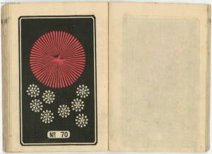 Иллюстрированный каталог фейерверков 1877 год - 36-VnktsMS3G4U.jpg
