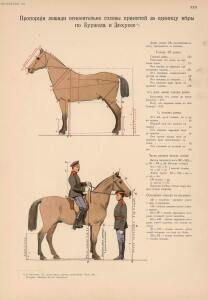 Иппологический атлас для наглядного изучения верховой лошади 1889 год - 23-K4Phvb-JcKM.jpg