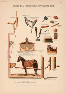 Иппологический атлас для наглядного изучения верховой лошади 1889 год - 25-jePNReNWF6E.jpg
