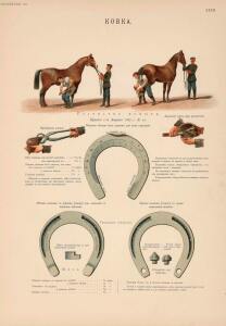 Иппологический атлас для наглядного изучения верховой лошади 1889 год - 26-ZIVvF2CTZec.jpg