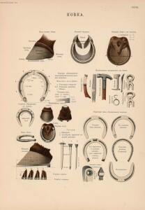 Иппологический атлас для наглядного изучения верховой лошади 1889 год - 27-ULmqwmpOFPU.jpg