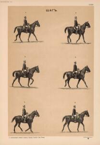 Иппологический атлас для наглядного изучения верховой лошади 1889 год - 30-WG0cFurzI98.jpg