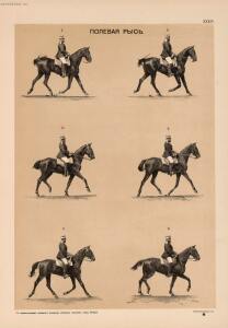 Иппологический атлас для наглядного изучения верховой лошади 1889 год - 31-miC39Zu3Q8A.jpg