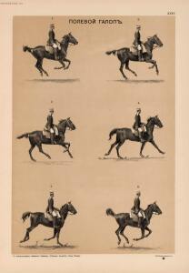 Иппологический атлас для наглядного изучения верховой лошади 1889 год - 32-XV9T1h76IOM.jpg