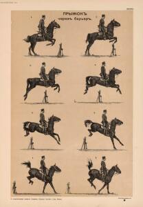 Иппологический атлас для наглядного изучения верховой лошади 1889 год - 33-9YjybEIxB5g.jpg