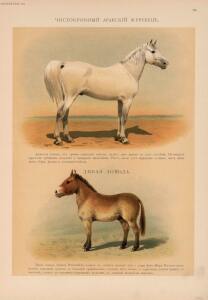 Иппологический атлас для наглядного изучения верховой лошади 1889 год - 36-9MeQ-fhM-M.jpg