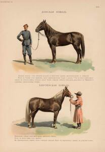 Иппологический атлас для наглядного изучения верховой лошади 1889 год - 40-yHiKIpRcwUo.jpg