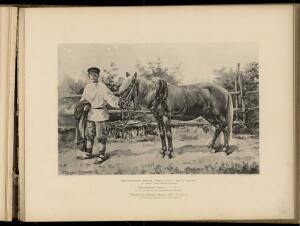 Типы и породы лошадей Российской империи 1908 год - 03-3naL5Nv2NxU.jpg