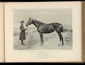 Типы и породы лошадей Российской империи 1908 год - 18-TKMox0D_pPU.jpg