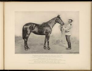 Типы и породы лошадей Российской империи 1908 год - 24-WGrKICfZLS4.jpg