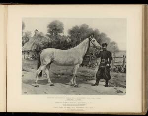 Типы и породы лошадей Российской империи 1908 год - 30-ifsKo89J5G4.jpg