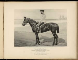 Типы и породы лошадей Российской империи 1908 год - 33-TJ8FmcNAMo.jpg