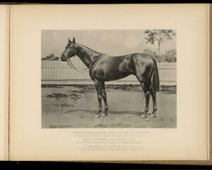 Типы и породы лошадей Российской империи 1908 год - 36-va5q01fVgx0.jpg