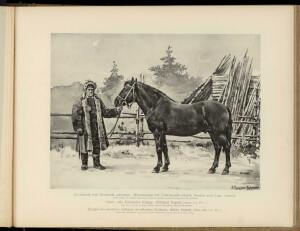 Типы и породы лошадей Российской империи 1908 год - 39-uCNnC6-Azeo.jpg