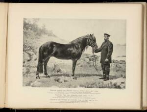 Типы и породы лошадей Российской империи 1908 год - 42-PBQSoOt2efE.jpg
