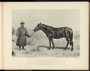 Типы и породы лошадей Российской империи 1908 год - 46-KSEMVZO9aP8.jpg