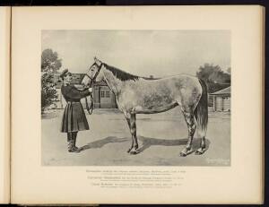 Типы и породы лошадей Российской империи 1908 год - 48-wYK_sRTXH1U.jpg