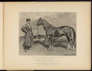 Типы и породы лошадей Российской империи 1908 год - 55-ZN2bvmBlG_E.jpg