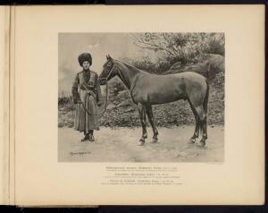 Типы и породы лошадей Российской империи 1908 год - 56-KrfU3GPWZjs.jpg