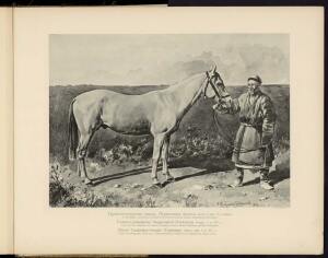 Типы и породы лошадей Российской империи 1908 год - 59-tfvrkAObNK0.jpg