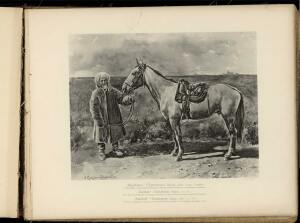 Типы и породы лошадей Российской империи 1908 год - 61-FOlBQ24NUGU.jpg