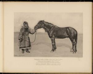 Типы и породы лошадей Российской империи 1908 год - 65-MYozcx7aDm4.jpg