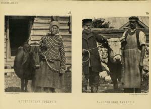  Коровки Российской империи, конец XIX века - screenshot_49_29735371858_o.jpg