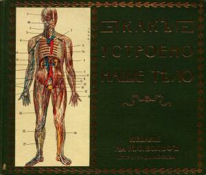 Как устроено наше тело. Анатомия для всех 1912 год - 01-fjyeTba_4wA.jpg