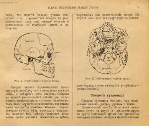 Как устроено наше тело. Анатомия для всех 1912 год - 10-YhIJ283eUCg.jpg