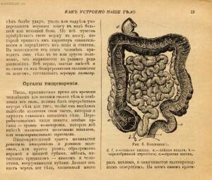 Как устроено наше тело. Анатомия для всех 1912 год - 19-5ltGo0by2js.jpg