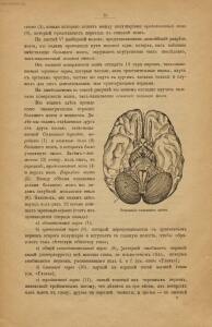 Голова. Строение человеческой головы и отправления важнейших ея органов 1900 год - rsl01010033182_26.jpg