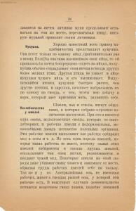 Война и мир в живой природе 1923 года -  и мир в живой природе 1923 года (37).jpg