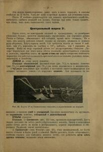 Каталог плугов и других земледельческих орудий 1903-1904 гг. - rsl01006740320_23.jpg