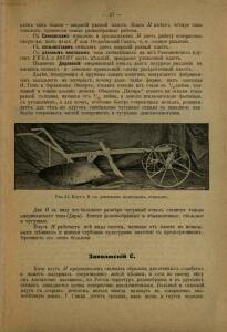 Каталог плугов и других земледельческих орудий 1903-1904 гг. - rsl01006740320_29.jpg