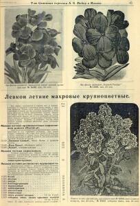 Каталог семян 1927 года - rsl01004914235_47.jpg