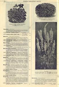Каталог семян 1927 года - rsl01004914235_50.jpg