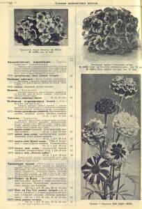 Каталог семян 1927 года - rsl01004914235_56.jpg