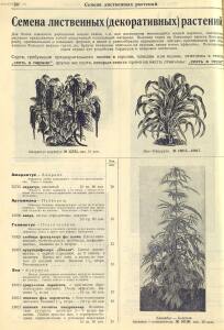 Каталог семян 1927 года - rsl01004914235_60.jpg