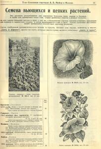 Каталог семян 1927 года - rsl01004914235_63.jpg