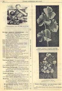 Каталог семян 1927 года - rsl01004914235_64.jpg